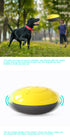 Squeaky Bite-Resistant Puppy Supplies Dog Float Toy